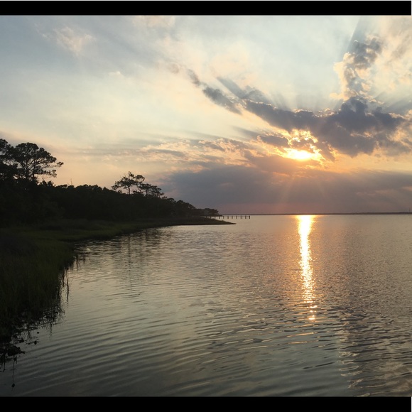 Meet your Posher, Cody - Picture 1 of 1